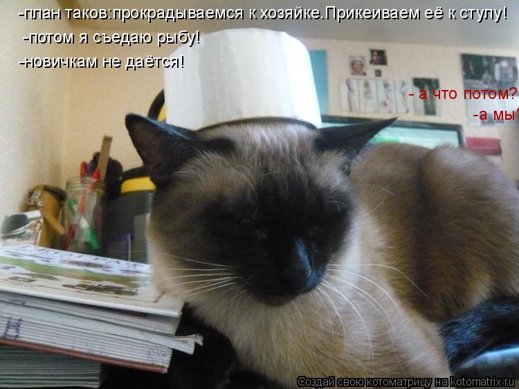 Котоматрица: -план таков:прокрадываемся к хозяйке.Прикеиваем её к стулу! - а что потом?? -потом я съедаю рыбу! -а мы?! -новичкам не даётся!