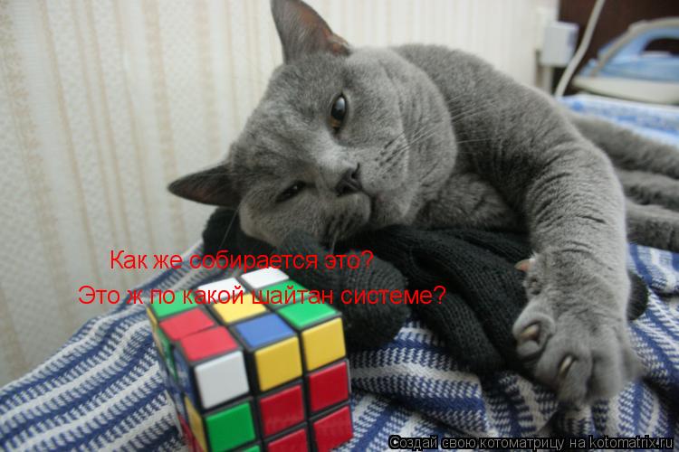 Котоматрица: Как же собирается это? Это ж по какой шайтан системе?