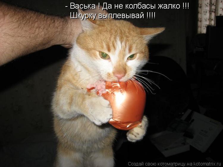 Котоматрица: - Васька ! Да не колбасы жалко !!! Шкурку выплевывай !!!!
