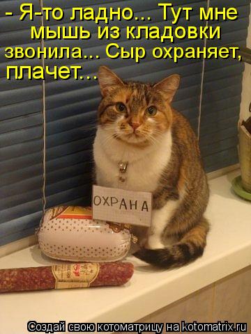 - Я-то ладно... Тут мне мышь из кладовки звонила... Сыр охраняет, плачет...... Котоматрица: - Я-то ладно... Тут мне мышь из кладовки звонила... Сыр охраняет, плачет...