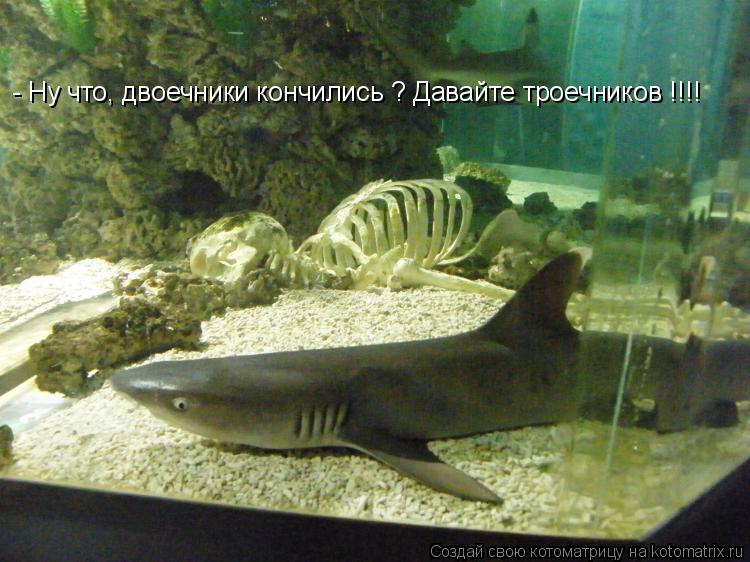 Котоматрица: - Ну что, двоечники кончились ? Давайте троечников !!!!