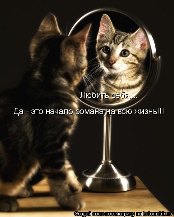 Котоматрица: Любить себя.... Да - это начало романа на всю жизнь!!!