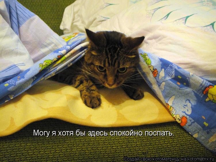 Котоматрица: Могу я хотя бы здесь спокойно поспать.