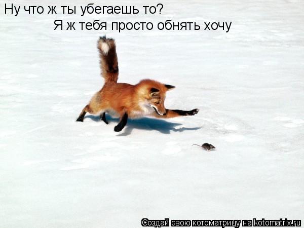 Котоматрица: Ну что ж ты убегаешь то? Я ж тебя просто обнять хочу
