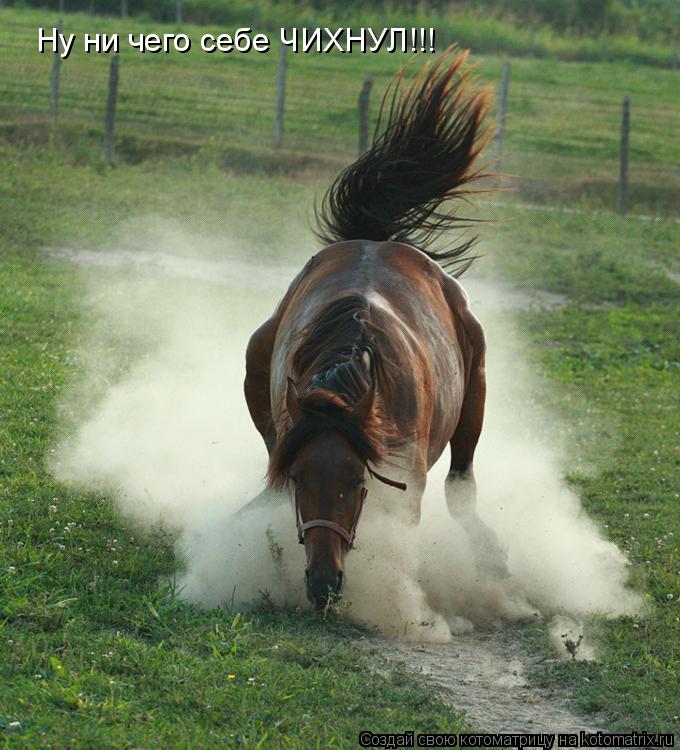 Котоматрица: Ну ни чего себе ЧИХНУЛ!!!