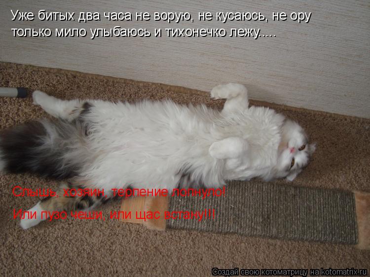 Котоматрица: Уже битых два часа не ворую, не кусаюсь, не ору  только мило улыбаюсь и тихонечко лежу..... Слышь, хозяин, терпение лопнуло! Или пузо чеши, или щ