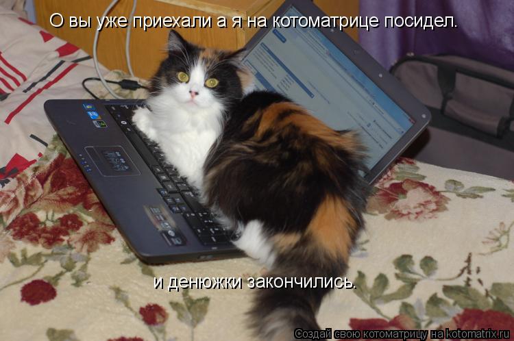 Котоматрица: О вы уже приехали а я на котоматрице посидел. и денюжки закончились.