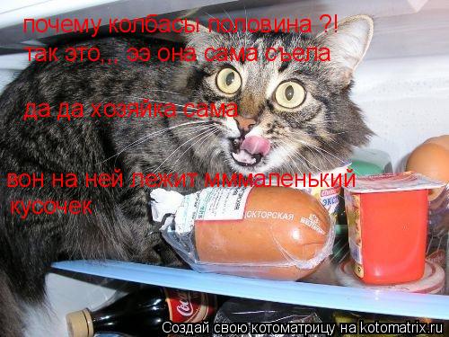 Котоматрица: почему колбасы половина ?!  так это,,, ээ она сама съела да да хозяйка сама вон на ней лежит мммаленький  кусочек