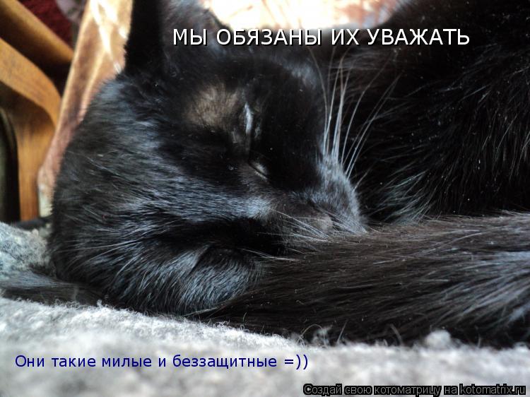 Котоматрица: Они такие милые и беззащитные =)) МЫ ОБЯЗАНЫ ИХ УВАЖАТЬ