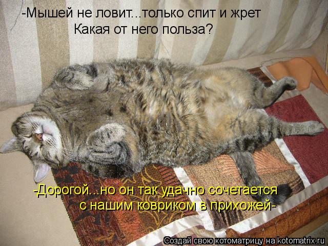 Котоматрица: -Мышей не ловит...только спит и жрет Какая от него польза? -Дорогой...но он так удачно сочетается с нашим ковриком в прихожей-