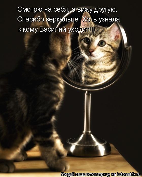 Котоматрица: Смотрю на себя, а вижу другую. Спасибо зеркальце! Хоть узнала  к кому Василий уходит!!!