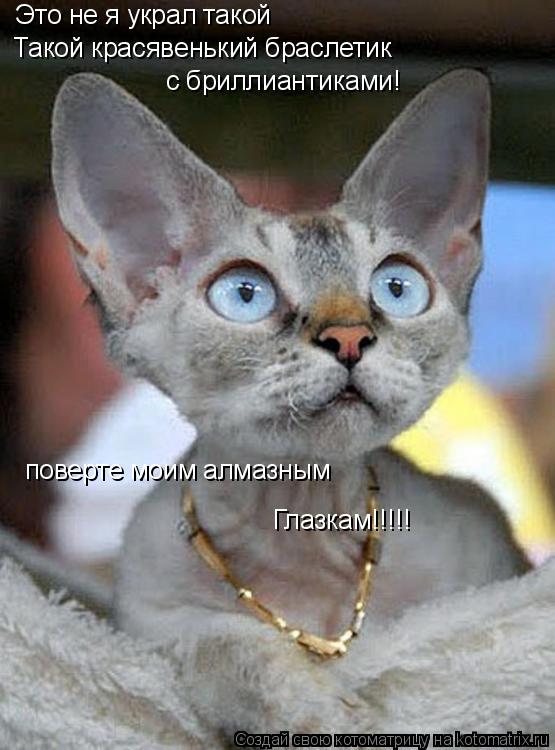 Котоматрица: Это не я украл такой  Такой красявенький браслетик с бриллиантиками! поверте моим алмазным Глазкам!!!!!