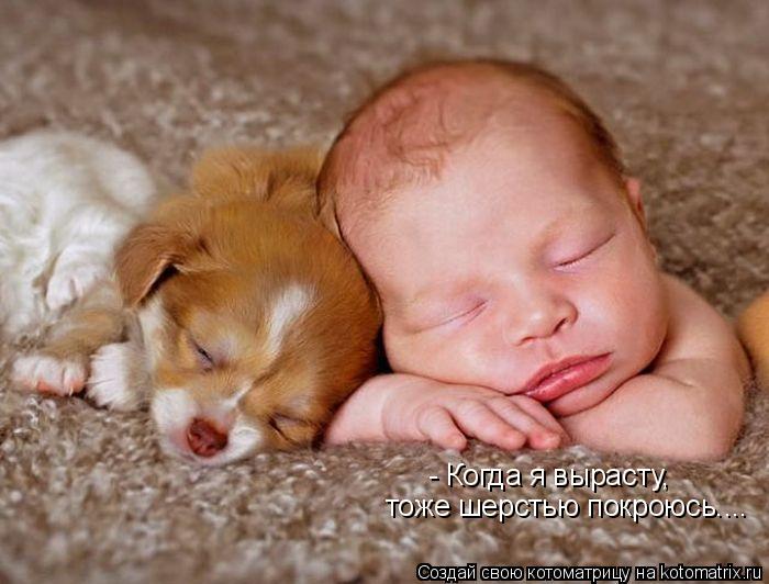 Котоматрица: - Когда я вырасту, тоже шерстью покроюсь....