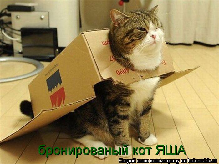 Котоматрица: бронированый кот ЯША