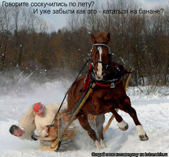 Котоматрица: Говорите соскучились по лету? И уже забыли как это - кататься на банане?