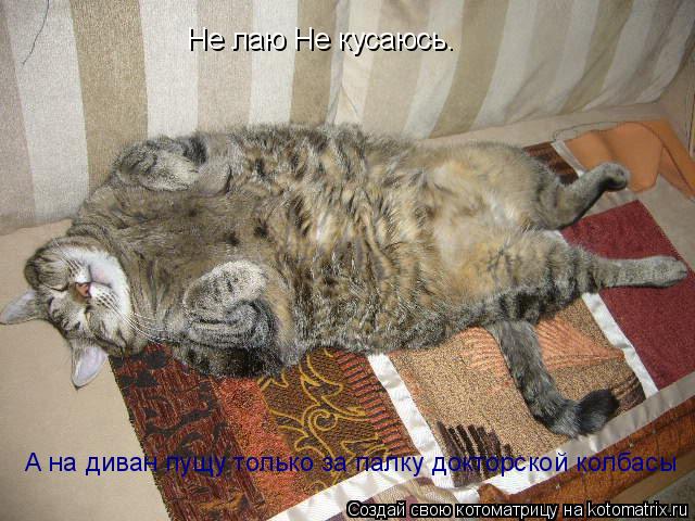 Котоматрица: Не лаю Не кусаюсь. А на диван пущу только за палку докторской колбасы