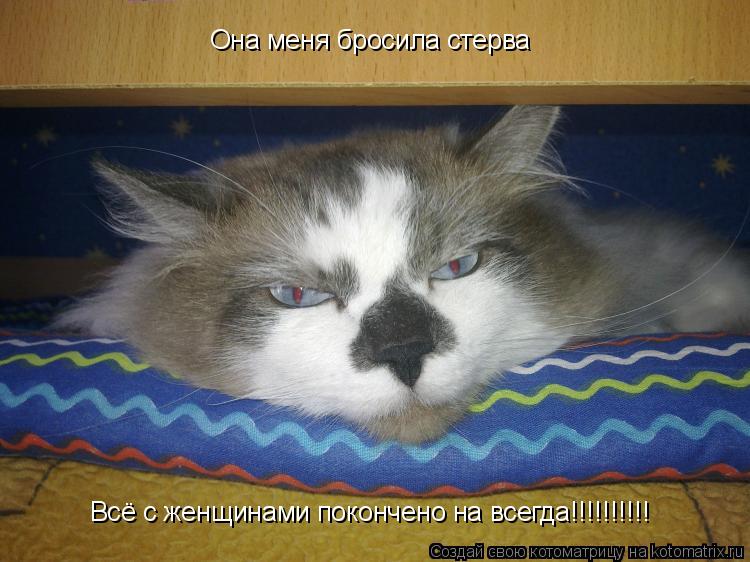 Котоматрица: Она меня бросила стерва Всё с женщинами покончено на всегда!!!!!!!!!!