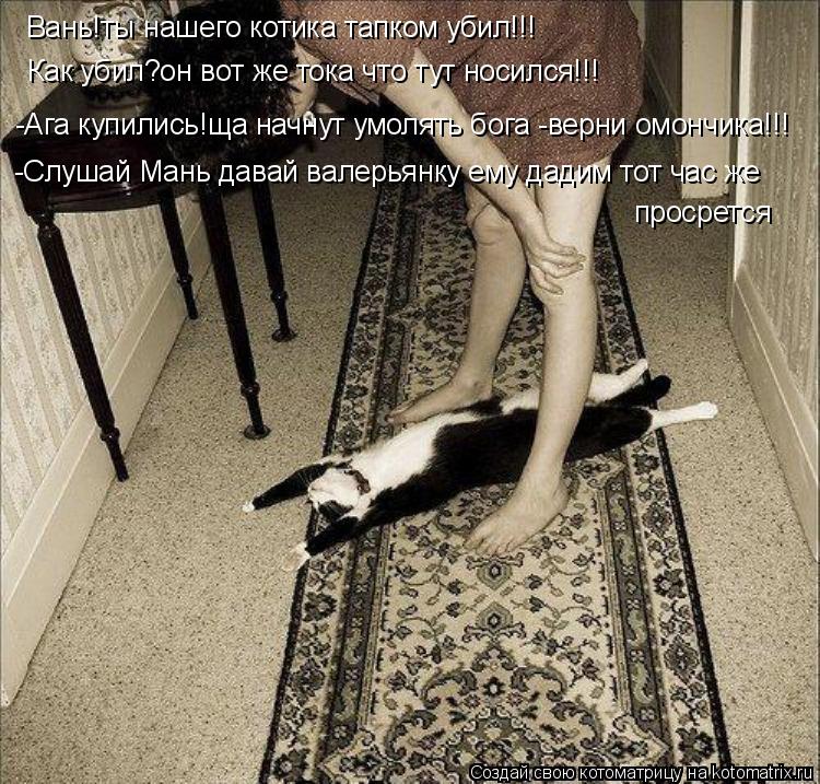 Котоматрица: Вань!ты нашего котика тапком убил!!! Как убил?он вот же тока что тут носился!!! -Ага купились!ща начнут умолять бога -верни омончика!!! -Слушай М