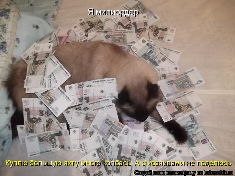 Котоматрица: Я милиордер  Куплю большую яхту много колбасы А с хозяивами не поделюсь