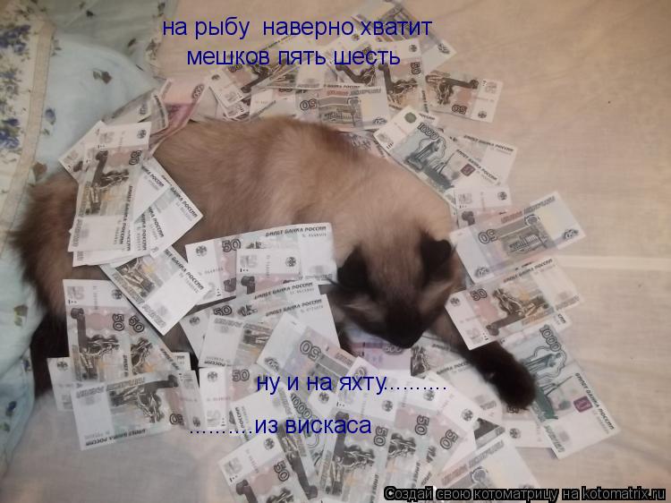 Котоматрица: на рыбу  наверно хватит мешков пять шесть ну и на яхту ..........из вискаса ..........