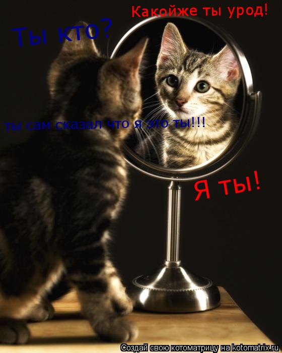 Котоматрица: Ты кто? Я ты! Какойже ты урод! ты сам сказал что я это ты!!!
