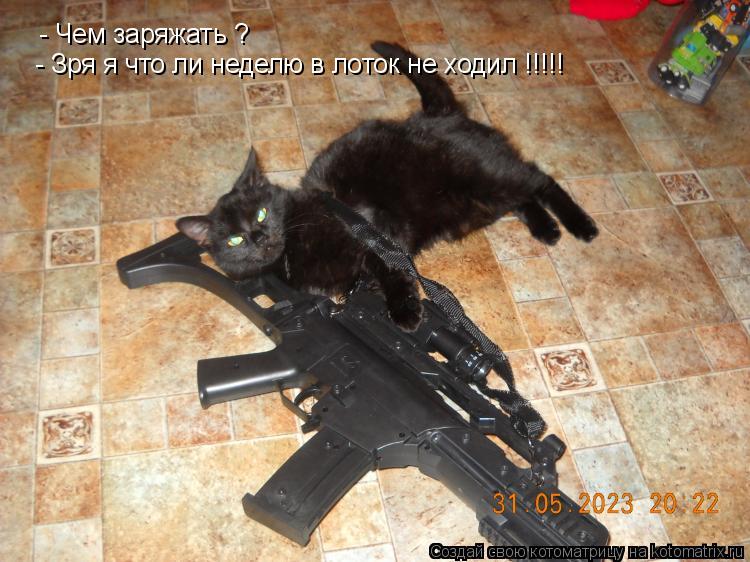 Котоматрица: - Чем заряжать ? - Зря я что ли неделю в лоток не ходил !!!!!