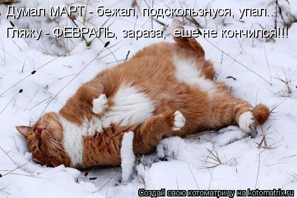 Думал МАРТ - бежал, подскользнуся, упал... Гляжу - ФЕВРАЛЬ, зараза, ешё не кончился!!!... Котоматрица: Думал МАРТ - бежал, подскользнуся, упал... Гляжу - ФЕВРАЛЬ, зараза, ешё не кончился!!!