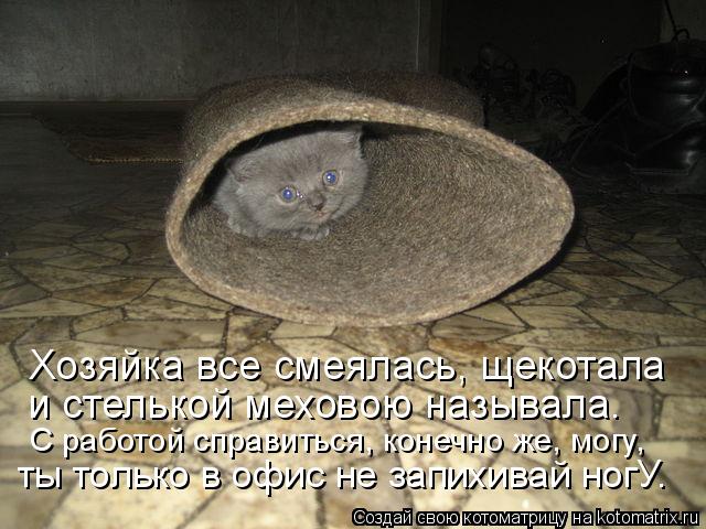 Хозяйка все смеялась, щекотала и стелькой меховою называла. С работой справиться, конечно же, могу, т... Котоматрица: Хозяйка все смеялась, щекотала и стелькой меховою называла. С работой справиться, конечно же, могу, ты только в офис не запихивай ногУ.