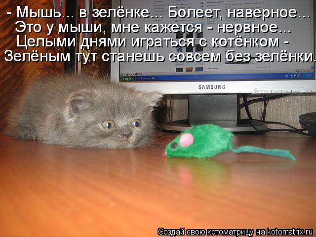 Котоматрица: - Мышь... в зелёнке... Болеет, наверное... Это у мыши, мне кажется - нервное... Целыми днями играться с котёнком -  Зелёным тут станешь совсем без з