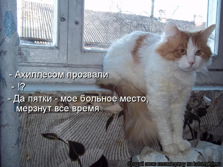 Котоматрица: мерзнут все время  - Да пятки - мое больное место,  - Ахиллесом прозвали  - !?