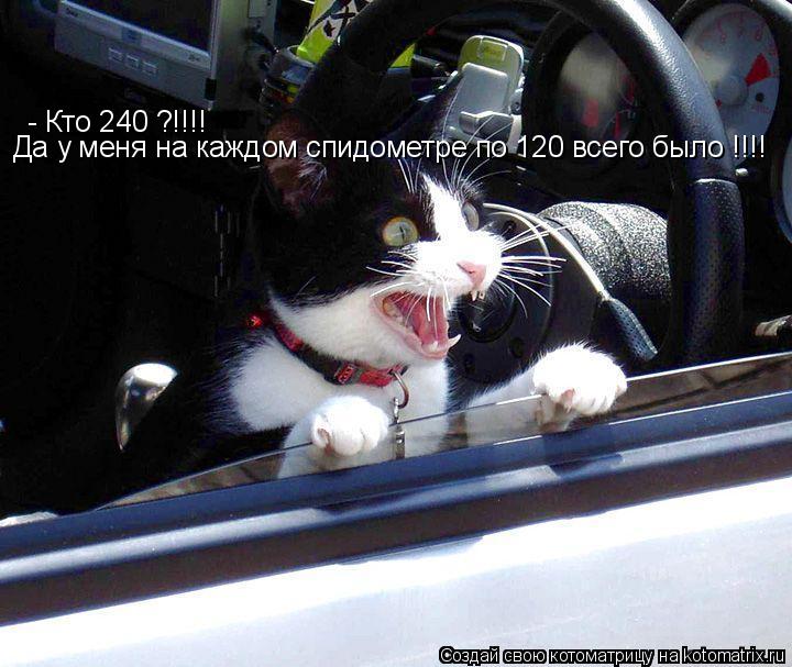 Котоматрица: - Кто 240 ?!!!! Да у меня на каждом спидометре по 120 всего было !!!!