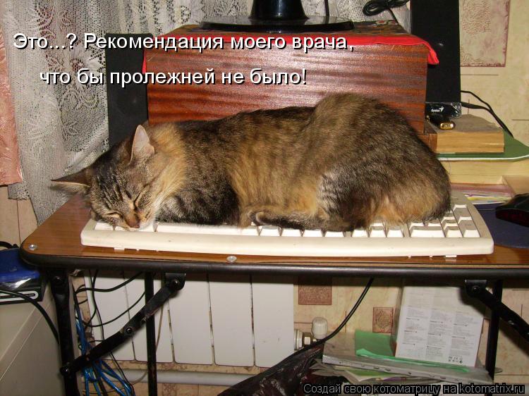 Котоматрица: что бы пролежней не было!  Это...? Рекомендация моего врача,