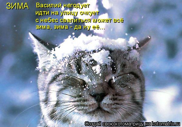 Котоматрица: ЗИМА Василий негодует идти на улицу очкует с небес свалиться может всё зима, зима - да ну её...