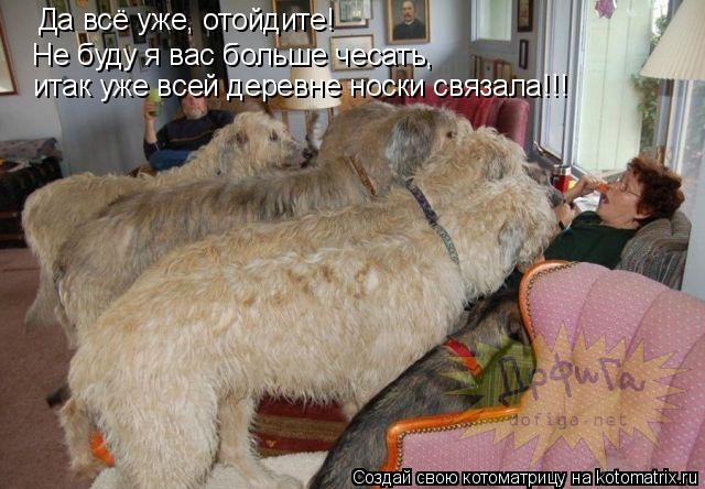 Котоматрица: Да всё уже, отойдите!  Не буду я вас больше чесать,  итак уже всей деревне носки связала!!!