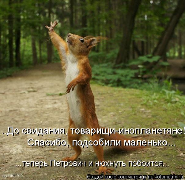Котоматрица: ..До свидания, товарищи-инопланетяне!  ...теперь Петрович и нюхнуть побоится... Спасибо, подсобили маленько...