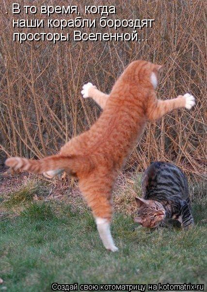Котоматрица: — В то время, когда  наши корабли бороздят  просторы Вселенной...