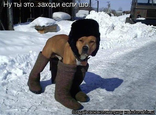 Котоматрица: Ну ты это..заходи если шо..