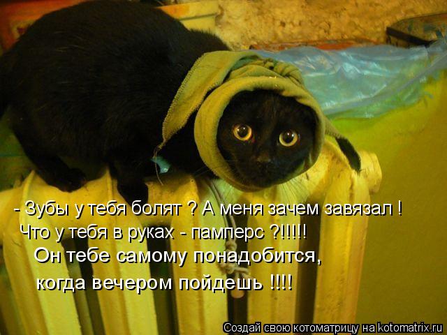 Котоматрица: - Зубы у тебя болят ? А меня зачем завязал ! Что у тебя в руках - памперс ?!!!!! Он тебе самому понадобится, когда вечером пойдешь !!!!