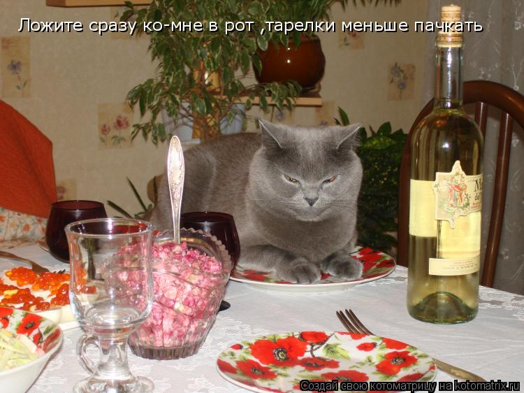 Котоматрица: Ложите сразу ко-мне в рот ,тарелки меньше пачкать