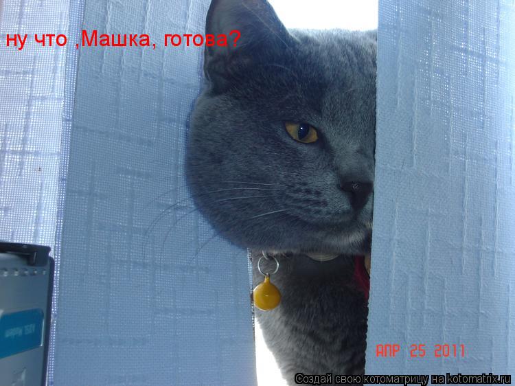 Котоматрица: ну что ,Машка, готова?
