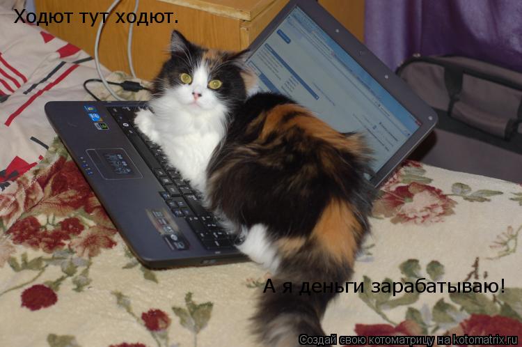 Котоматрица: Ходют тут ходют.  А я деньги зарабатываю!