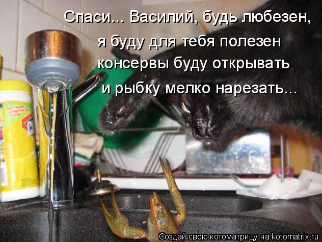 Котоматрица: Спаси... Василий, будь любезен, я буду для тебя полезен консервы буду открывать и рыбку мелко нарезать...