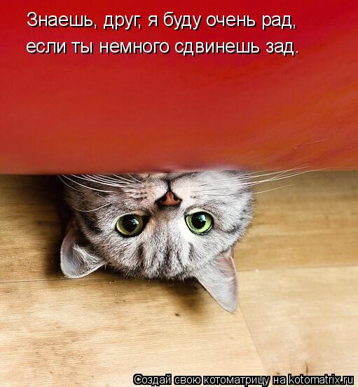 Котоматрица: Знаешь, друг, я буду очень рад, если ты немного сдвинешь зад.