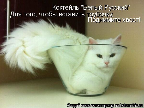 Котоматрица: Коктейль "Белый Русский" Для того, чтобы вставить трубочку,  Поднимите хвост!