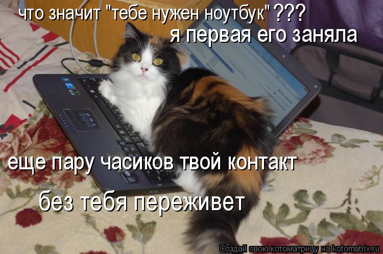Котоматрица: что значит "тебе нужен ноутбук"  ??? я первая его заняла еще пару часиков твой контакт без тебя переживет