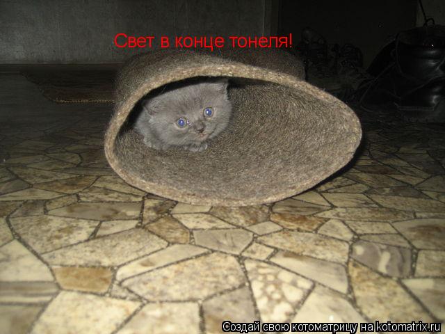 Котоматрица: Свет в конце тонеля!