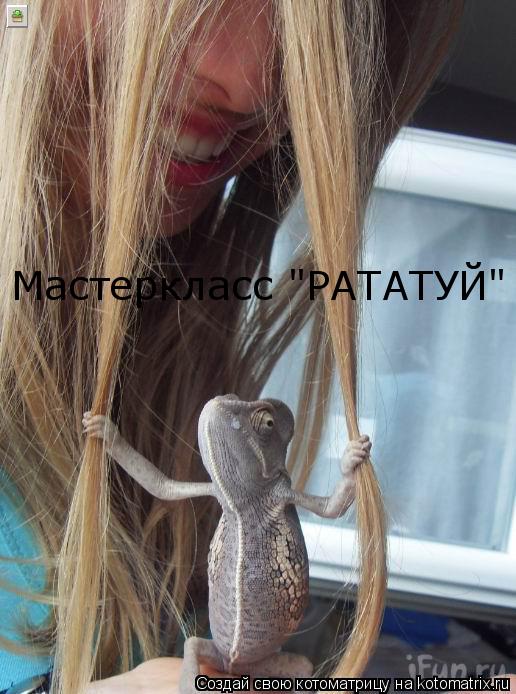 Котоматрица: Мастеркласс "РАТАТУЙ"