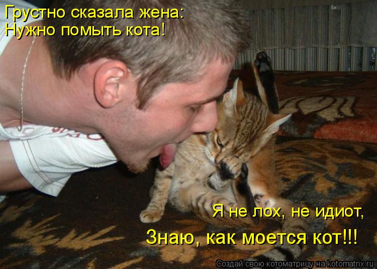 Грустно сказала жена: Нужно помыть кота! Я не лох, не идиот, Знаю, как моется кот!!!... Котоматрица: Грустно сказала жена: Нужно помыть кота! Я не лох, не идиот, Знаю, как моется кот!!!