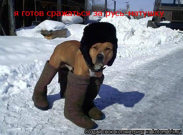 Котоматрица: я готов сражаться за русь-матушку