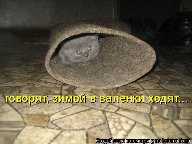 говорят, зимой в валенки ходят...
